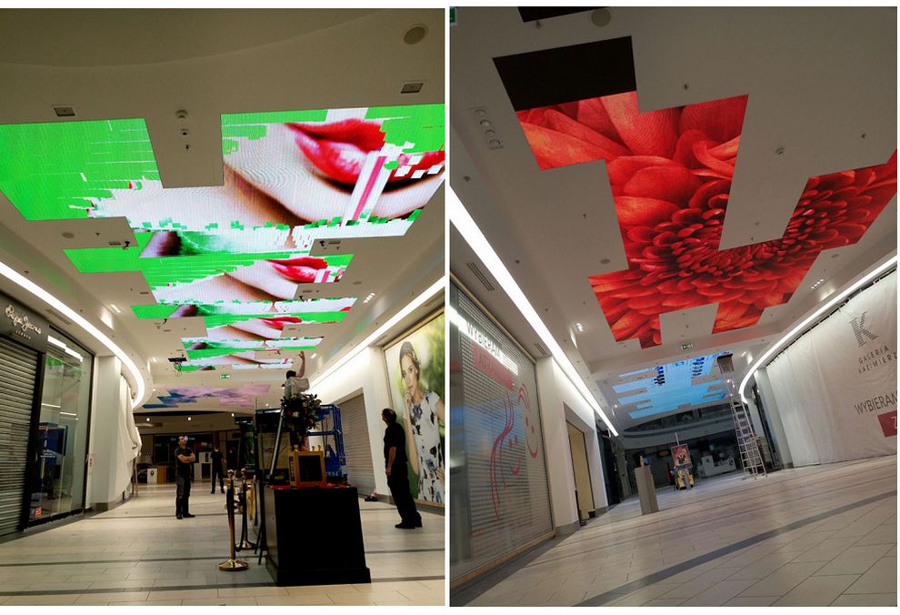 bti体育平台·(中国)官方网站