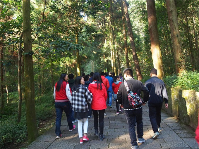 bti体育平台·(中国)官方网站